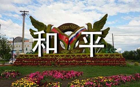 【精选】和平的作文300字汇总10篇