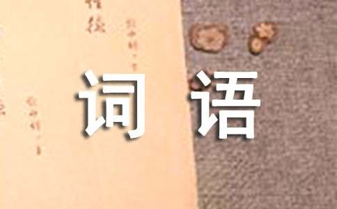 aabc式的四字词语