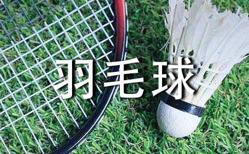 我学会了打羽毛球[400字]