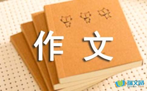 缘分让我遇见你们3000字作文