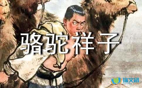 《骆驼祥子》读后感作文3000字