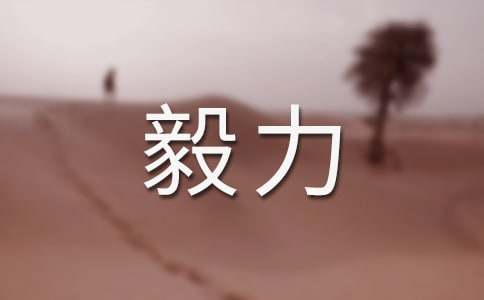 形容有毅力的成语有哪些