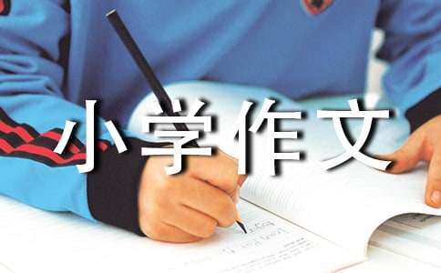 实用的小学的小学作文1200字集锦十篇