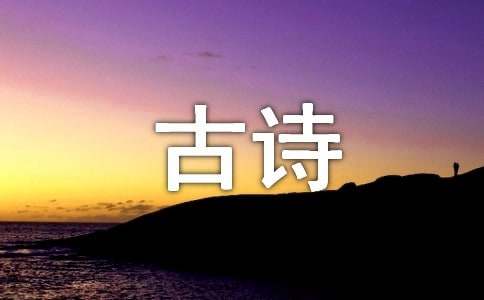 古诗绝句《山中夜坐》译文及赏析