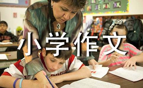 意外小学作文(15篇)