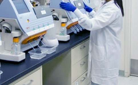 五年级第一学期数学教研组工作计划范文