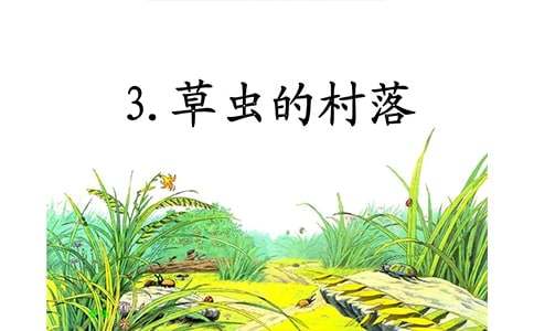 草虫的村落说课稿集锦
