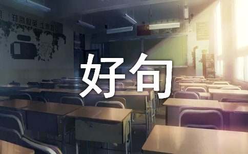 小学好句摘抄15篇