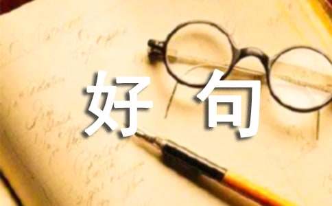 小学好句摘抄(15篇)