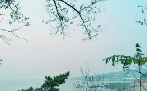 别样的青春风景作文10篇