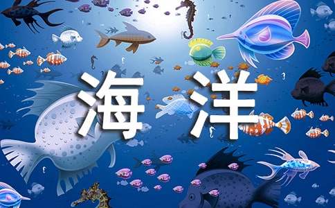 【精品】海洋作文300字3篇