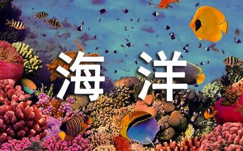 【热门】海洋作文300字锦集5篇