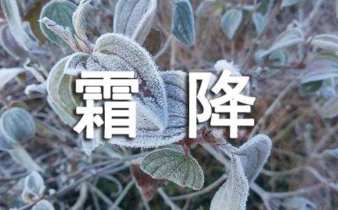 霜降节气唯美句子