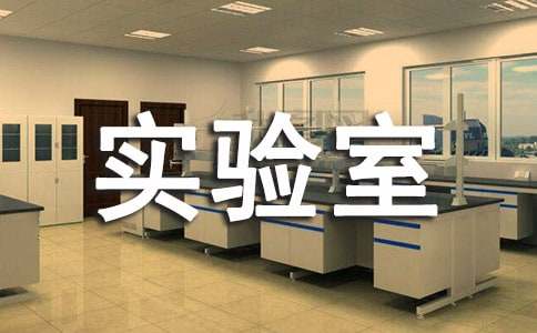 实验室主管年度工作总结（通用13篇）