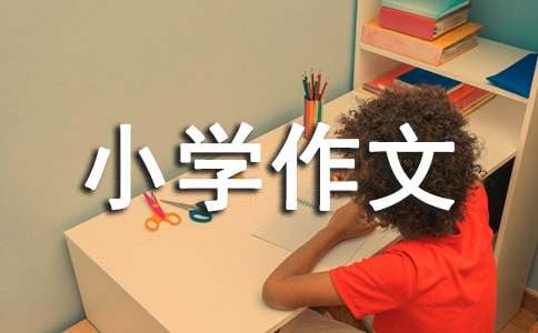 互相关爱的小学作文4篇