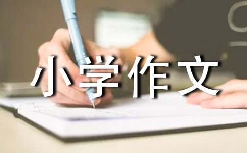 学会独立小学作文13篇