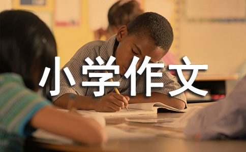 想象小学作文通用15篇