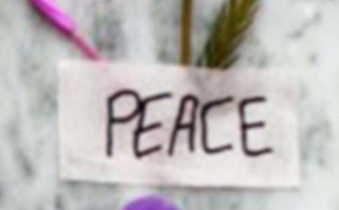 关于和平优秀作文(6篇)