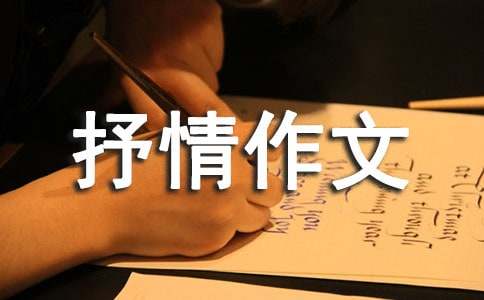 叙事抒情作文15篇