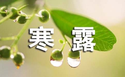 描写寒露的优美句子