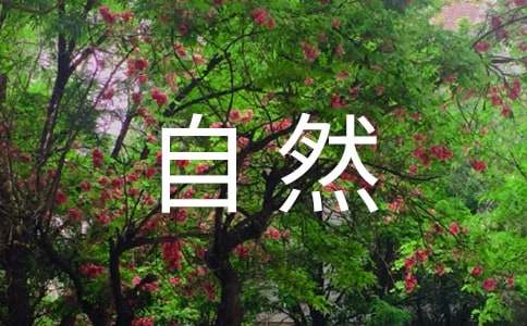 感悟大自然作文(12篇)