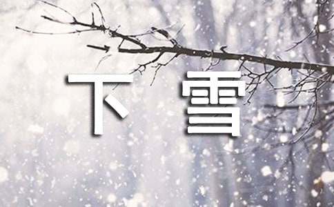 下雪了作文15篇