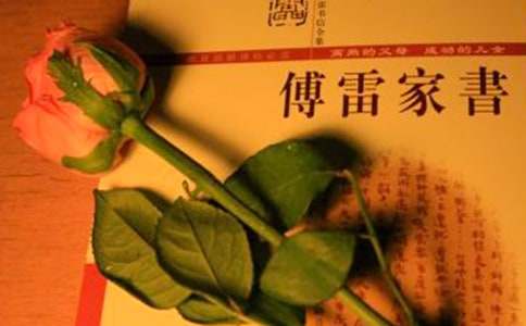 傅雷家书读书笔记(15篇)