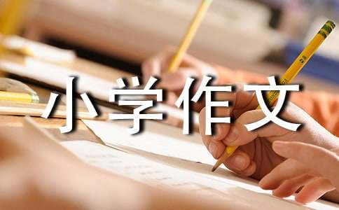 初夏小学作文(合集15篇)