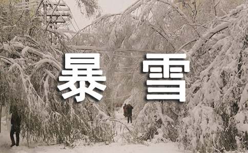 暴雪工程的应急预案