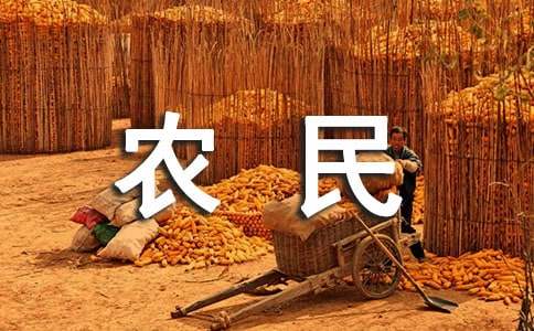 农民工工资保证书13篇