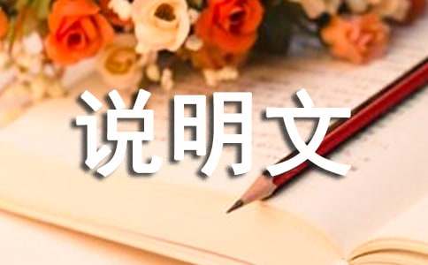 科普说明文作文300字锦集5篇