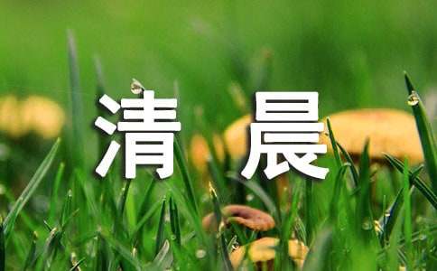 关于清晨的作文合集5篇