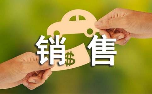 销售员个人述职报告实用