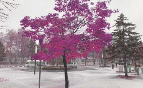 2022暴风雪应急预案
