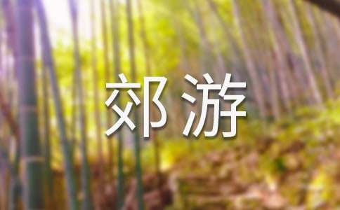 春天郊游的作文汇编6篇