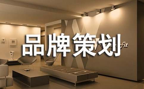 品牌策划书优秀
