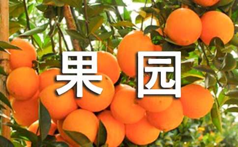 美丽的果园作文精选15篇