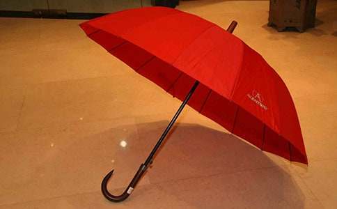 记忆中的雨伞作文