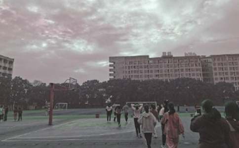 操场上教案15篇