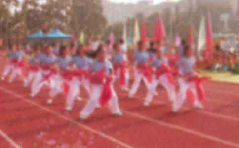 【推荐】小学运动会作文八篇