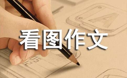 小学二年级看图作文