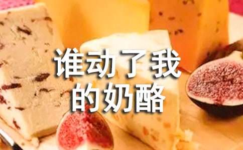 谁动了我的奶酪读后感【热】
