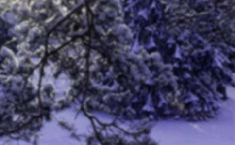 小雪文案干净治愈