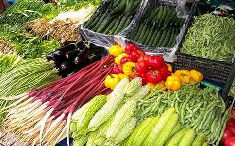 小班科学教案蔬菜宝宝