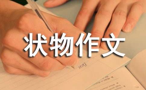 实用状物作文集锦