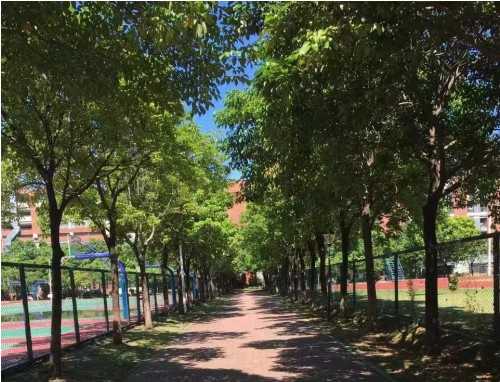 香港通行证怎么办理