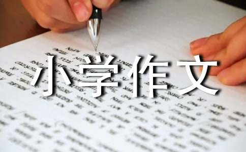 实用的我的房间小学作文3篇