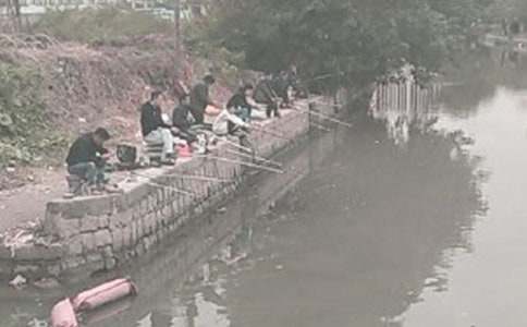 《钓鱼的启示》读后感集锦15篇