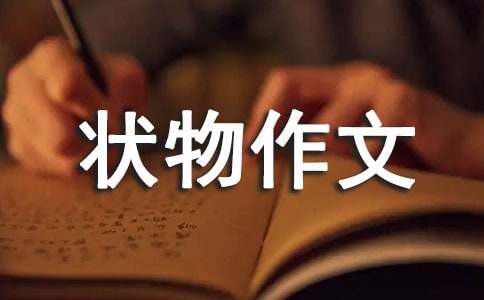 【必备】三年级状物作文300字汇总八篇