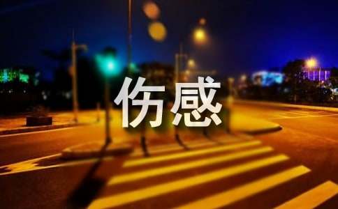2023年常用伤感个性句子汇编55条